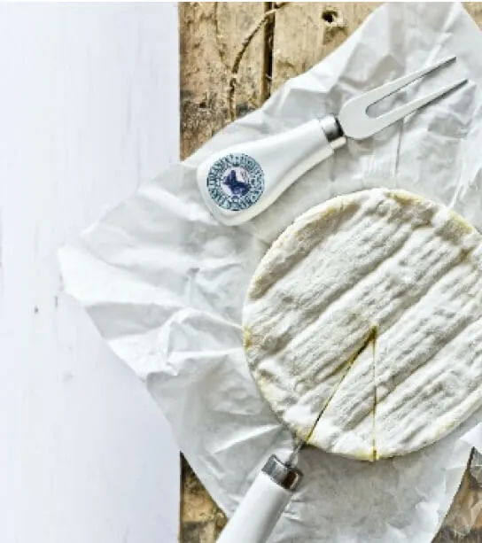 Formaggio abbinato ai vini Bacio della Luna - Schenk Italia