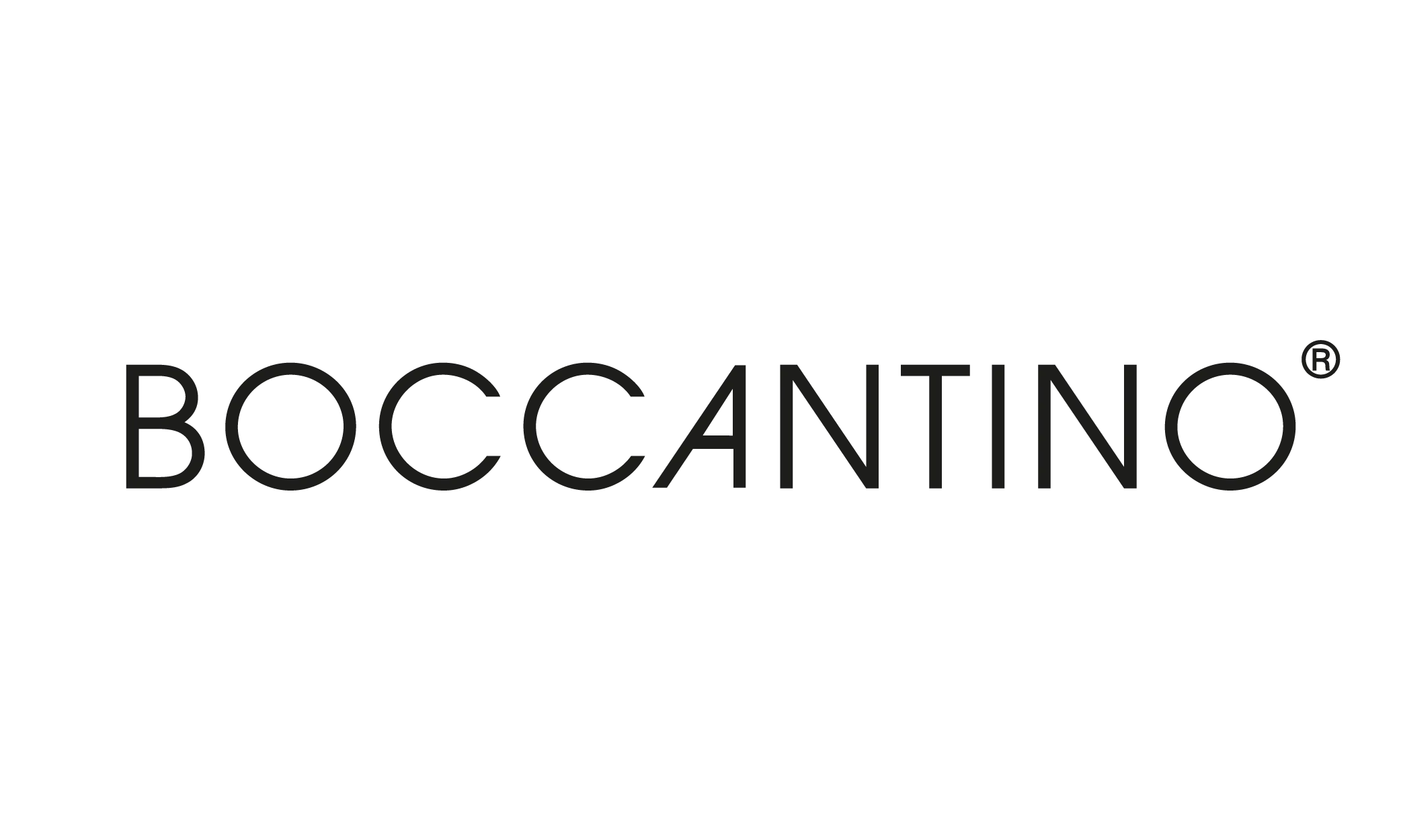 Logo Boccantino - Schenk Italia