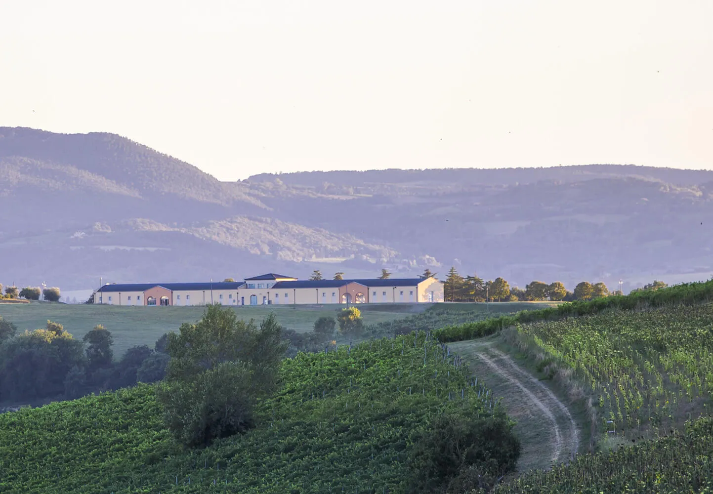 Tenuta Lunadoro - Schenk Italia